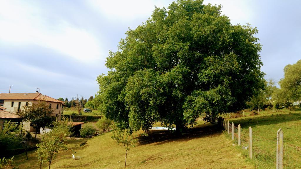 Caserio De Fontes Nogueira De Ramuin Exterior foto